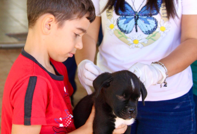 Sabado-tem-vacinacao-antirrabica-gratuita-para-caes-e-gatos-em-Bataguassu-e-Nova-Porto-XV