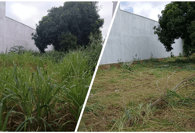 Cerca-de-700-terrenos-receberam-limpeza-no-ano-de-2025