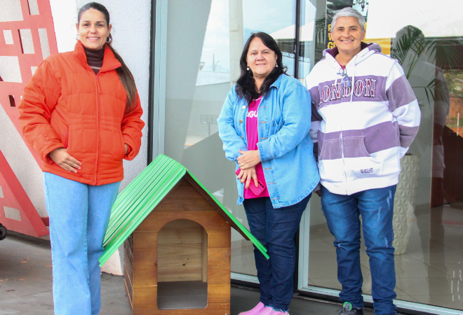 Casinhas-comunitarias-comecam-a-ser-instaladas-para-proteger-animais-de-rua-durante-o-inverno