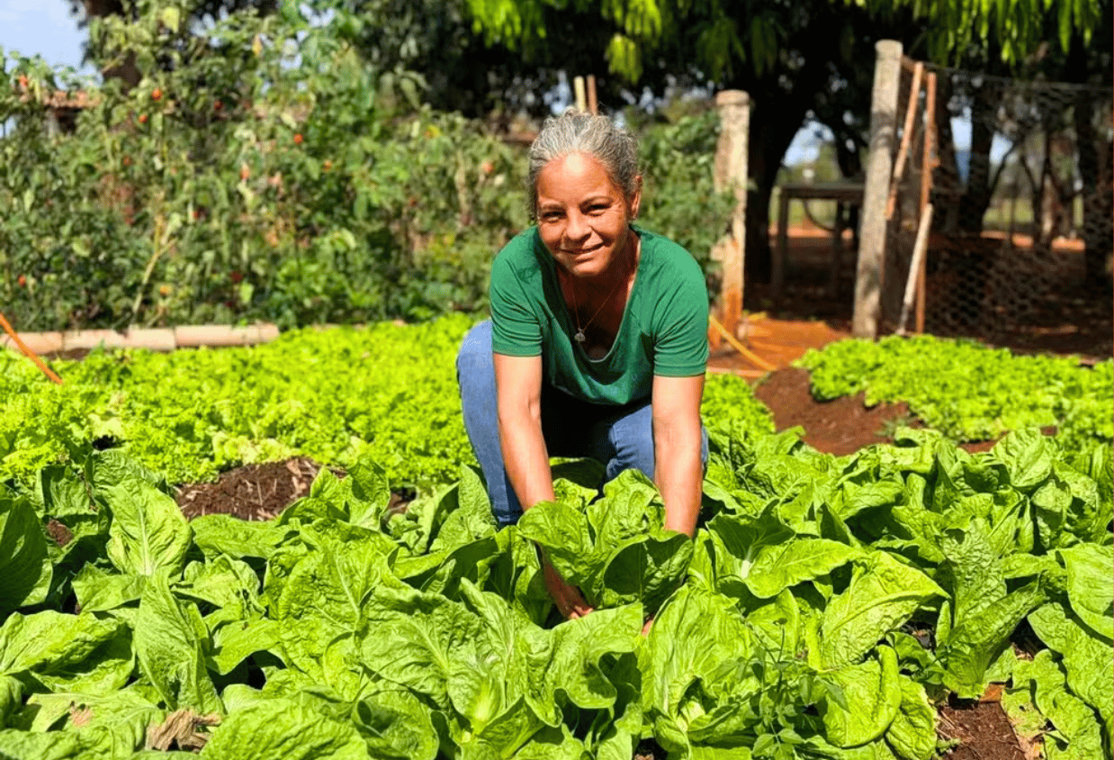 Produtora-de-Bataguassu-multiplica-por-sete-producao-de-hortalicas-e-amplia-renda